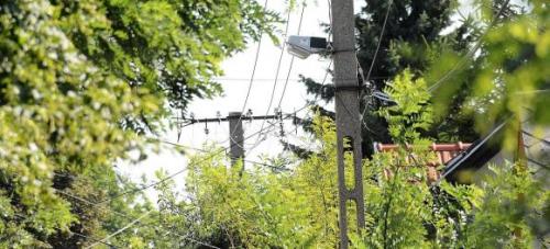 Odstránenie a orezanie stromov a iných porastov